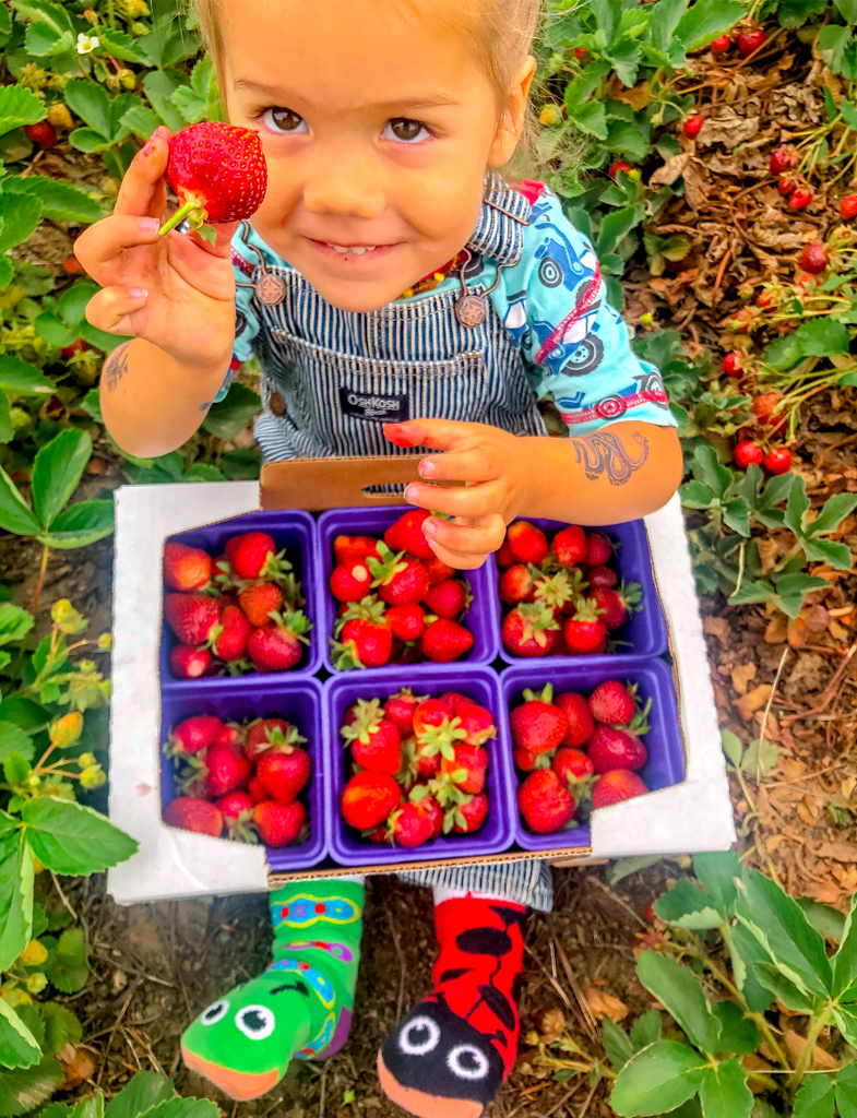 Ladybug & Caterpillar Socks
