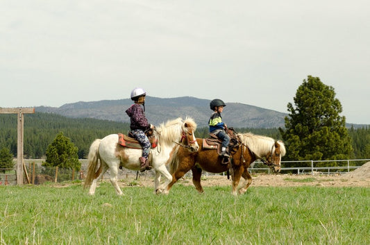 Piping Rock - Half Day August Horse Camp ($715 VALUE)
