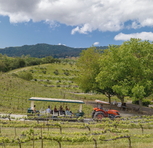 Benziger Family Winery Biodynamic Vineyard Tram Tour and Wine Tasting for 4 People ($200 Value)